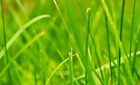 【离线版】完整的在线呼叫网页版